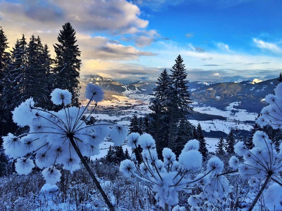 Hotel Berggasthof Biberg Saalfelden Exteriér fotografie